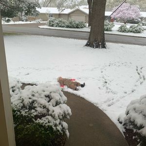 Meet your Posher, Peter